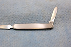 Case Xx Stainless Steel Pen Knife Letter Opener  8 1 2 Inches Long