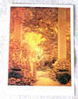 Land Of Make Believe By Maxfield Parrish Bookplate