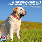 Bingpet Ba2006 Adjustable Dog Real Split Leather Studded Pet Dog Collar  Dura