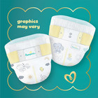 Pampers Swaddlers Newborn Baby Diapers 31 Count Fragrance Free Soft Fit  2 Pack
