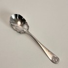 Antique Wm Rogers Aa Sultana 1890 Silverplate Sugar Shell Spoon 6  Polished
