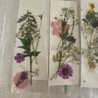 4 Natural Real Dried Pressed Flowers Handmade Flower Petals Candle Making Resin 