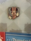 Disneyland Castle 70th Anniversary Vault Collection Le Frame