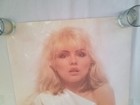 Blondie Rare 1978 Debbie Harry Scotland Poster 24 5  X 37 5  Cat  14 p3167 Ex  