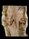 Xxl Red Ambrosia Burl Wood Slab  Epoxy stabilizing Wood  Birdseye Maple  Burl 