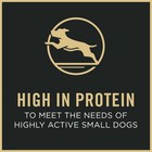 Purina Pro Plan Small Breed Dry Dog Food Shredded Blend Chicken   Rice 6 Lb