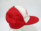 Vtg San Francisco 49ers Hat Snapback Dorfman Pacific Large xl Fits 7 1 4-7 5 8