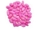 1 Lb  300  Pink Bubble Shells Seashells 3 4  - 1   Beach Craft Wedding Decor Art