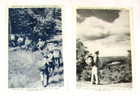4 Vtg Boy Scout Camp Postcards  Camp Ranachqua  Ten Mile River  Bronx Council ny