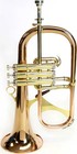 Phaeton Trumpets Phaeton Flugelhorn Phtf-2500
