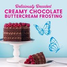 Duncan Hines Dolly Parton s Chocolate Buttercream Flavored Cake Frosting  16 Oz 