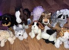 Webkinz Lot Of 10