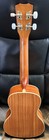 Cordoba 15cm-e Concert Ukulele Edge Burst