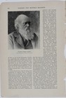 Charles Darwin Evolution Natural Selection 1901 Harper s Magazine Portrait Leaf