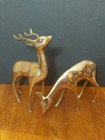 Vintage Pair Solid Brass Deer Figurines Buck 8  H  Doe 7 h
