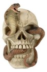 Ebros Cranium Skeleton Cobra Snake Habitat Skull Statue Figurine 4 25 h