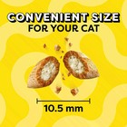 2p Temptations Mixups Catnip Fever Flavor Crunchy And Soft Cat Treats  48 Oz Tub