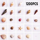 1200 Tiny Sea Shells Starfish Mixed Decor For Crafts