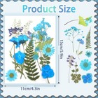 120pcs Dried Pressed Flowers For Resin Mold Dry Flower Real Daisy Leaves Bulk