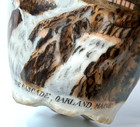 Oakland - The Cascade - Maine Me Antique Souvenir China Trinket Gold Cup