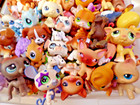 Littlest Pet Shop lot 10 Random Lps nice Selection 2004 Current all Generations