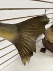 Large Full Body 26    Walleye Taxidermy Freshwater Fish Mount On Driftwood Log