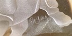 R m Yates  Etched Rhinoceros Glass Block Signed And Dated  73 Weighs 4 5 Lbs