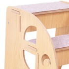 3 Step Dog Step Dog Indoor Ramp Non Slip Portable Lightweight Pet Cat Stairs Dog