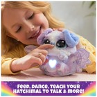 Hatchimals Alive Mystery Hatch Interactive Puppadee  6 5 In   Electronic Pet New