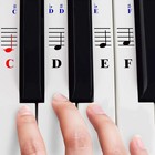 Piano Stickers For 49 61 76 88   key Keyboards     Transparent And Removable    