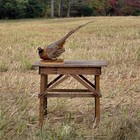 Vintage Ring Neck Pheasant Taxidermy Mount Roosting Crouched Pose 28 