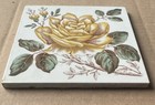  Alfred Meakin - Antique Victorian Majolica Tile C1900