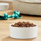 Pure Balance Grain-free Lamb   Fava Bean Dry Dog Food Poultry-free 24 Lb