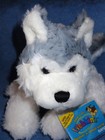 Webkinz   Husky grey white Puppy Dog 8    Retired   Ganz   New Unused Code