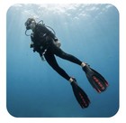 Cressi Maui Diving scuba Fins Black red Size S m