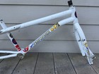 All Original Paint   Decal 1985 Old School Gt Pro Performer Bmx Frame And Fork
