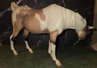 Breyer Model Horse   410146 Pinto Half Arabian Mare And Foal