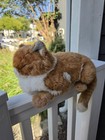 Vintage 1985 Applause Avanti Chubby Orange Tabby Sleeping Cat Plush Toy 23 