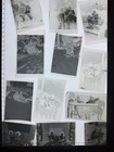 45 Vintage Snapshot Photo Negatives 1910s-1950s B w Found Photography Lot