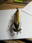 Heddon Sos 3 Hook Minnow