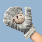 Calming Glove - Sugar Glider  Marmoset  Squirrel  Hamster  Small Pets