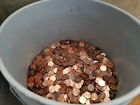  100 Face Value Bulk Zinc Pennies  Real U s  Coinage  Nice Money  Lincoln 56lbs