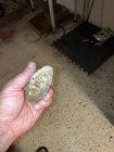 Quartz Agate Geode W huge Flakes Of Gold  Copper  Pyrite Silver  76g 5   x2 75   