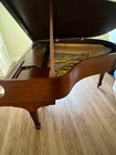 1917 Model M Steinway   Sons Baby Grand Piano   Fully Restored  