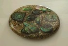 Vintage Plympton s Genuine Abalone Originals Shell Lucite Trivet   5 5  