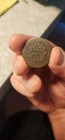 1798 Draped Bust Large Cent