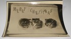 Rare Antique Vintage American Merry Christmas Kittens Snapshot Photo  Cute Cats 