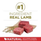 Purina One Smartblend Natural Dry Dog Food With Rice And Lamb - 16 5lbs