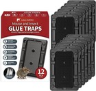 Mouse   Insect Traps 12 Pack