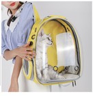 Pet Carrier Bag Breathable Cat Dog Outdoor Travel Transparent Backpack Portable